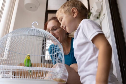 Grandmother and grandson looking at a small green and yellow parrot inside its cage