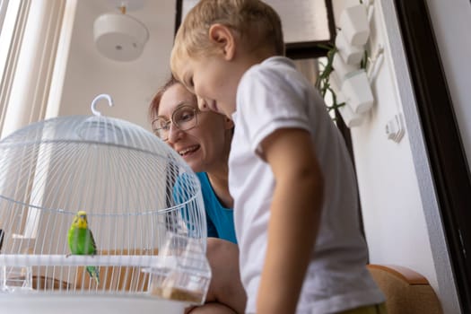 Grandmother and grandson looking at a small green and yellow parrot in a white cage