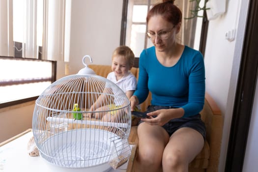 Mother taking a photo of a green budgie in a white cage while her son is watching