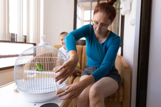 Woman changing bird food in cage with a budgie parakeet, her son watching her