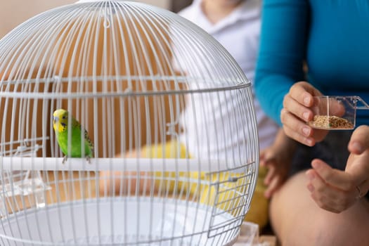 Mother and child preparing birdseed for feeding a green budgie inside a white cage