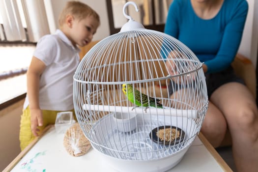 Green budgie perched inside its white cage, with a curious child and a woman in the background