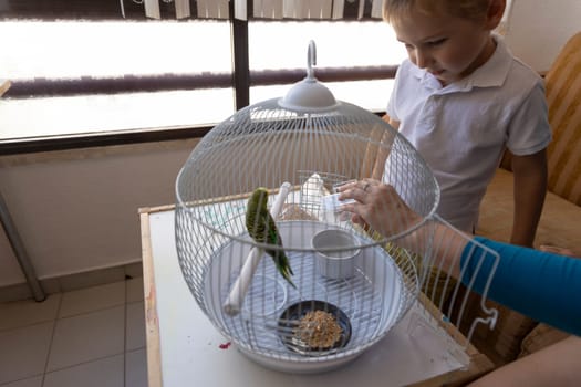 Blond boy watching his mother changing bird food in a white round cage with a parakeet
