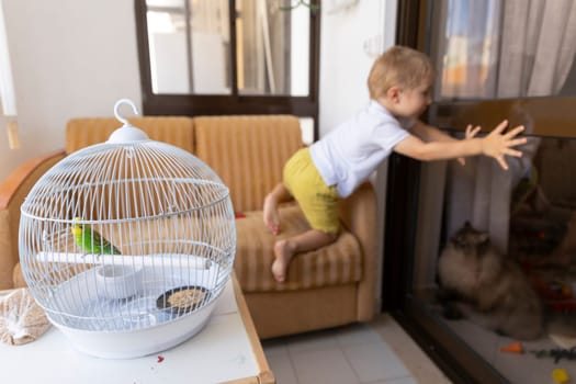 Green budgie resting in white cage while toddler playing on sofa near glass door