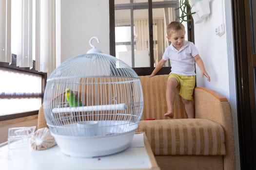 Toddler playing near a birdcage with a parakeet inside in a living room