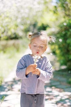 Little girl with closed eyes blows on dandelions in her hand while standing on a path in the park. High quality photo