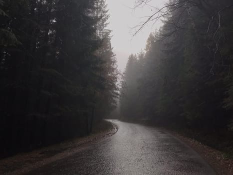 road to foggy forest in Zakopane in rainy weather. High quality photo