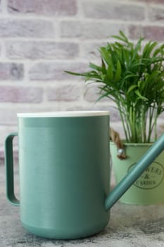 A green watering can rests next to a small potted plant indoors.