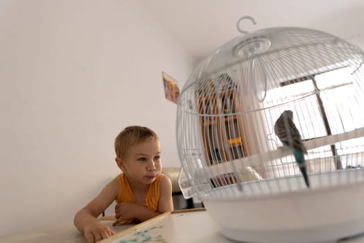 Child observing a colorful parrot inside its cage, enjoying a moment of connection with nature