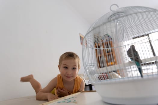 Young boy smiles while watching a colorful parakeet inside its cage, showcasing a moment of childhood curiosity and connection with nature