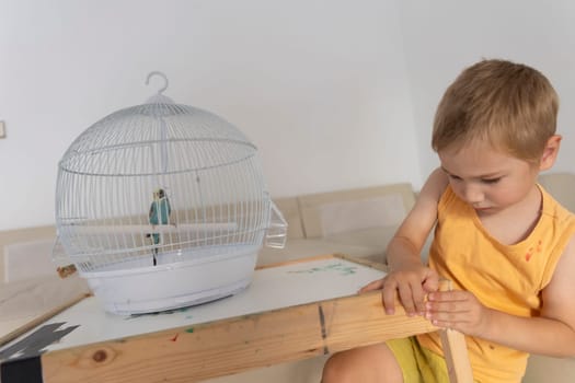 Child observing a colorful parakeet inside its cage, placed on a small wooden table, in a bright domestic setting
