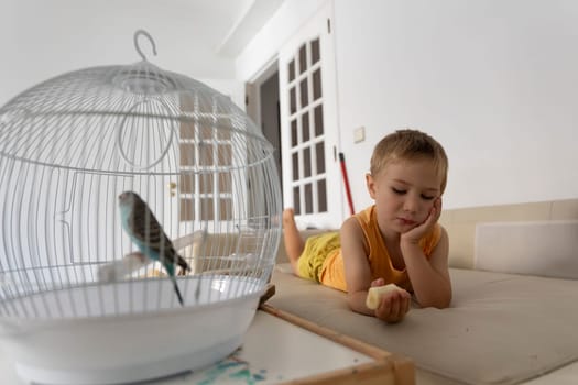 Child lying on sofa looking at a budgie in a cage and holding a piece of food