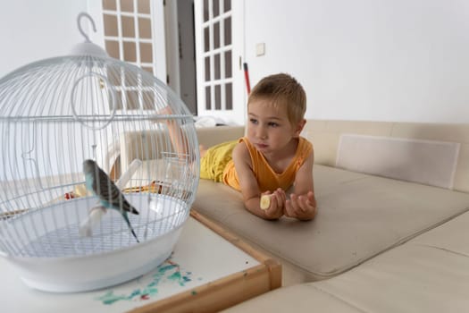 Child eating a banana and looking at a blue budgie inside its cage