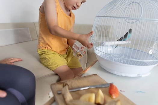 Child taking care of his pet parakeet, feeding it seeds in its cage, promoting responsible pet ownership and connection with nature