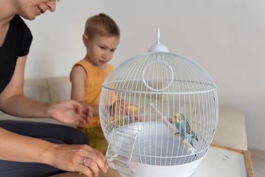 Mother and son interacting with their pet budgie inside its cage, demonstrating love and care for their feathered friend