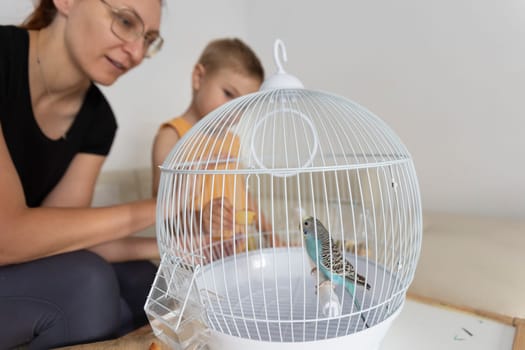 Mother and son taking care of their blue pet parakeet inside its cage at home