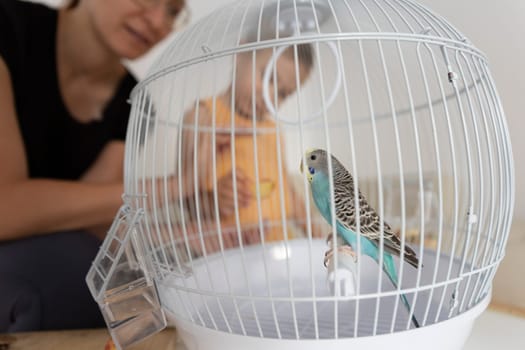 Budgie sits perched in its cage, captivating the attention of a family, highlighting the importance of responsible pet ownership and creating a heartwarming scene