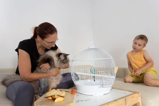 Mother holding fluffy cat observing budgie in cage while son is sitting on sofa