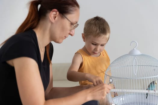 Mother and son carefully cleaning budgie's birdcage, showing love, care, and responsibility for their pet