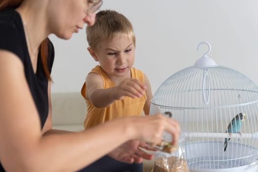 Mother pouring birdseed into her son's hand while feeding their pet budgie in its cage