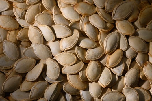 Sunlit pumpkin seeds lie scattered, revealing their unique shapes and surfaces, creating a natural tapestry of colors.