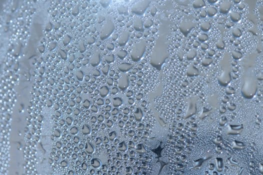 Tiny water droplets create a shimmering tapestry on a cool surface, reflecting light and nature's beauty.