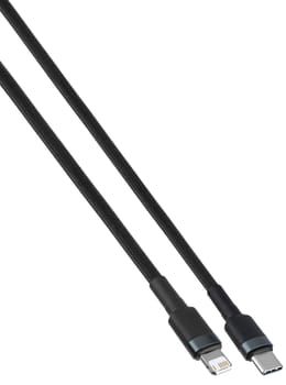 Cable with Lightning and USB connectors, presented on a white background.