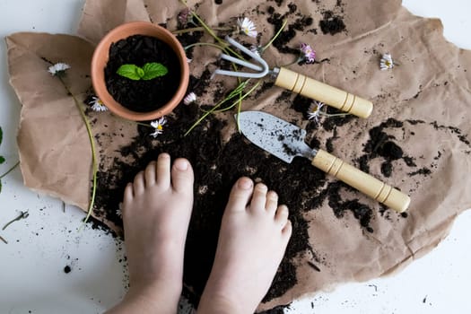 Childs hands on gardening experience with soil, tools, and plants.