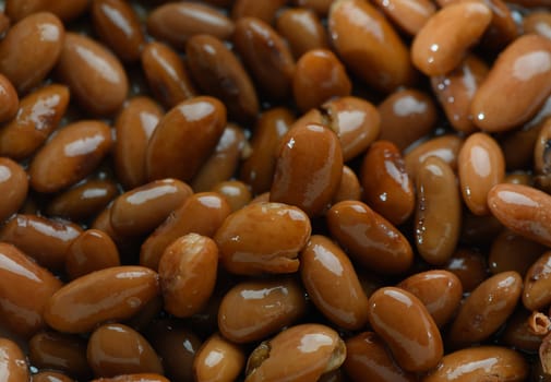 Close-up view of glossy brown beans resting together, showcasing their rich colors and textures under natural light.