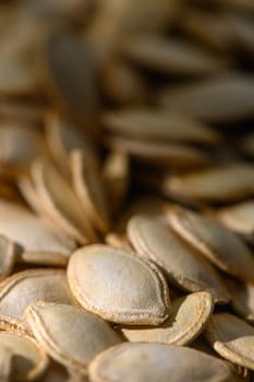 A close-up view reveals the delicate texture and warm hues of freshly harvested pumpkin seeds under natural light.