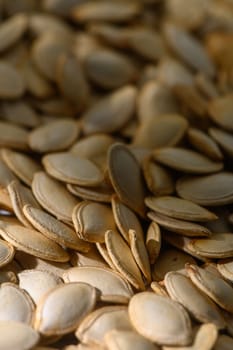 Sunlight illuminates an abundance of freshly harvested pumpkin seeds, capturing the essence of autumn.