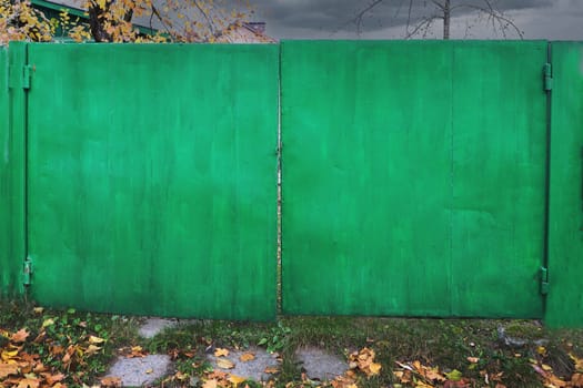 Old iron gates in the yard painted green, autumn.