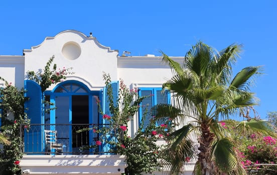 White house with blue shutters, tropical plants and picturesque palm trees. An excellent holiday destination on the Aegean coast in Bodrum Turkey
