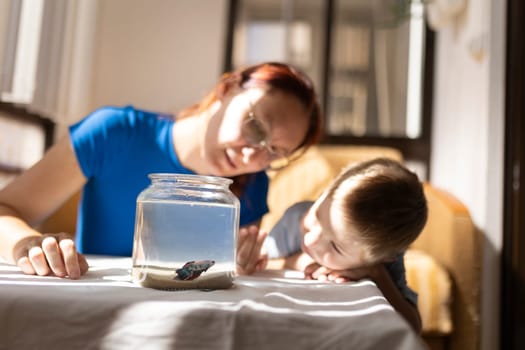 Mother and son are observing a betta fish swimming in a glass jar placed on a table, creating a heartwarming scene of shared interest