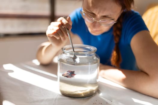 Veterinarian feeding a beautiful betta fish in a glass jar with a spoon