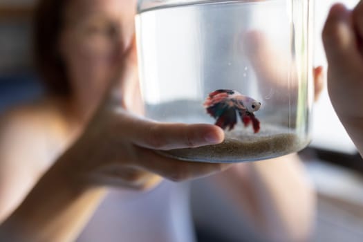 Woman observing a small colorful betta fish swimming in a glass jar