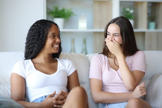 Embarrassed woman laughing covering mouth with hand talking with a friend at home