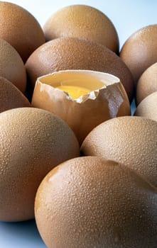 Close-up of Egg yolk in Broken raw chicken eggshell in the among of Fresh chicken egg (Hen egg) on white background. Natural organic fresh eggs for healthy food, use it as your Space for text, Design, Wallpaper and Poster, Selective focus.