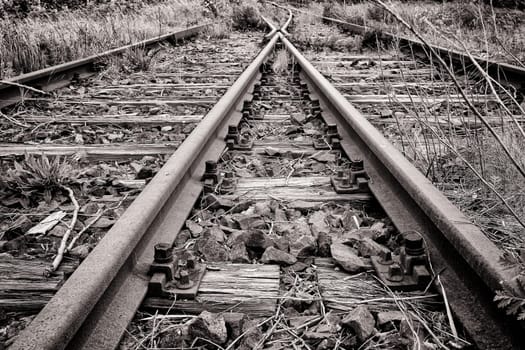 Former railway line of the Darßbahn in Bresewitz, just before the Meiningen Bridge to the Fischland-Darß peninsula, Mecklenburg-Western Pomerania, Germany