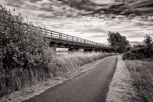 Former railway line of the Darßbahn in Bresewitz, just before the Meiningen Bridge to the Fischland-Darß peninsula, Mecklenburg-Western Pomerania, Germany