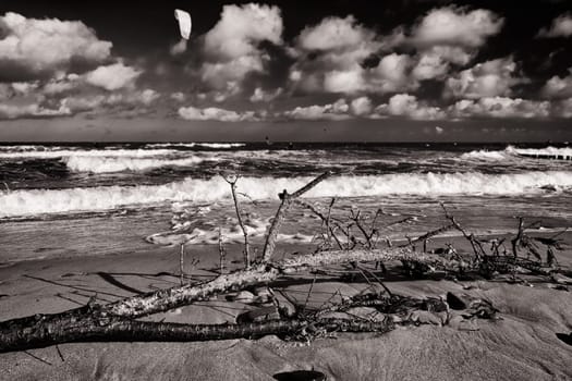 Baltic Sea coast near Kühlungsborn, Mecklenburg-Western Pomerania