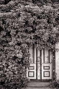 old back entrance in Zingst, Fischland-Darß, Mecklenburg-Western Pomerania, Germany