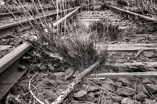 Former railway line of the Darßbahn in Bresewitz, just before the Meiningen Bridge to the Fischland-Darß peninsula, Mecklenburg-Western Pomerania, Germany