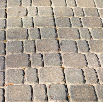 Interlock bricks used for the outdoor pavement