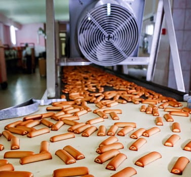 Freshly baked cookies move along the production line in a confectionery factory, showcasing an efficient process of cookie preparation and packaging.