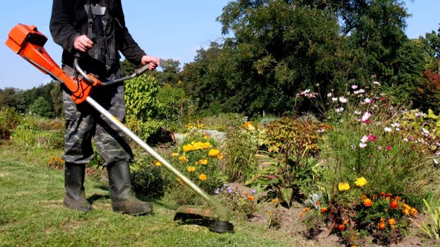A gardener operates a string trimmer among colorful flowers in a sunny landscape, carefully maintaining the garden's beauty.