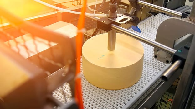 An automated machine packages at a dairy facility, focusing on a round cheese wheel on the production line.