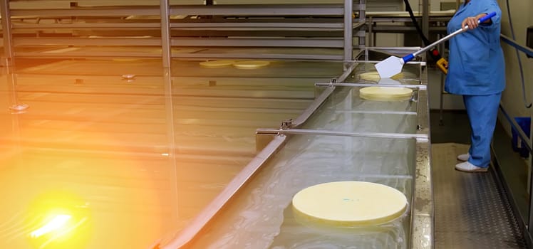 Workers are engaged in the cheese production process, monitoring the quality and hygiene in a dairy facility under controlled conditions.
