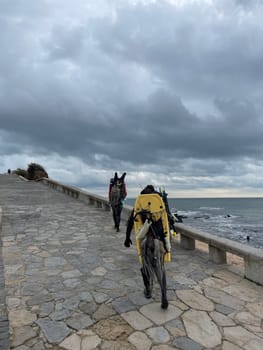 Full body back view of anonymous spear fishers with their catch and equipment walking on promenade by sea against cloudy sky