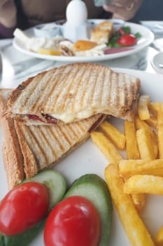 A hearty grilled sandwich with fries and cherry tomatoes on a plate.